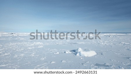 Similar – Foto Bild Eisfläche mit eingefrorenem Schilf und Schnee.