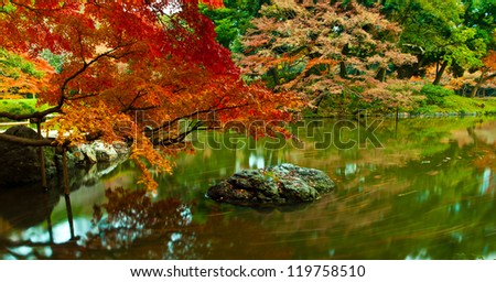 Panoramic scene of Japanese style zen garden, Koishikawa korakuen garden, Tokyo, Japan
