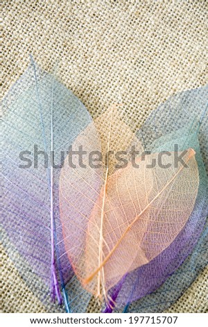 colorful skeleton leaves on sackcloth background