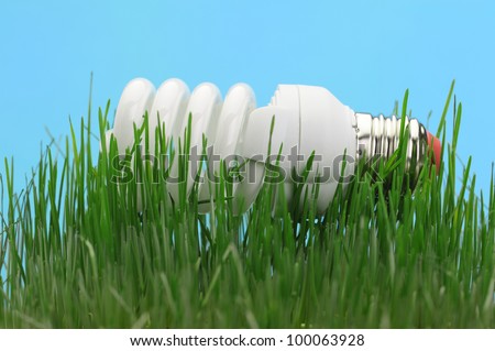 Energy saving compact fluorescent lightbulb in a green grass and on a blue background