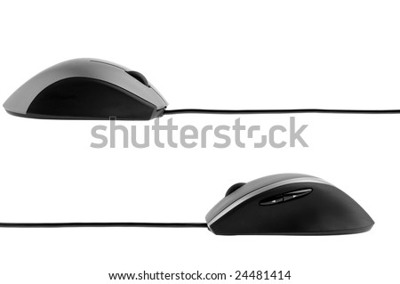 The computer mouse