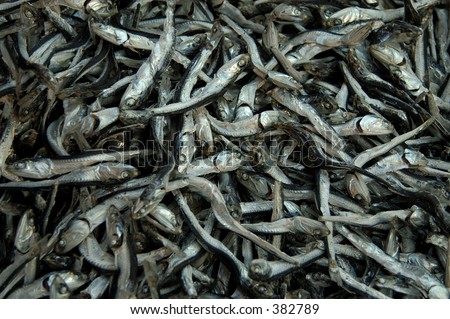 Dried fish at Tsukiji, the worlds largest fish market in Tokyo
