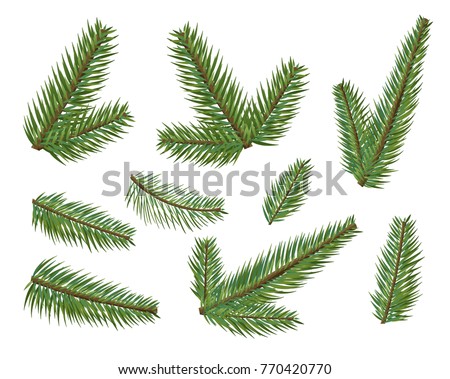 Different Christmas Tree Branches Set Elements Clipart Different Christmas Tree Branches Set Elements Clipart