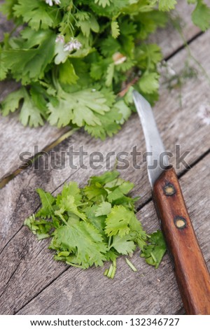 Cilantro. Coriander leaves chopped on the wooden board