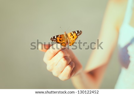 Similar – Foto Bild Wunderschöner oranger Schmetterling auf der grünen Pflanze