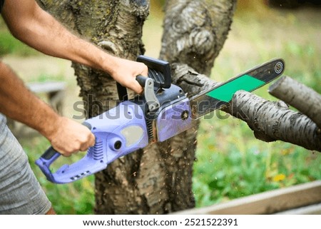 Similar – Image, Stock Photo Cutting trees using an electrical chainsaw in the forest.