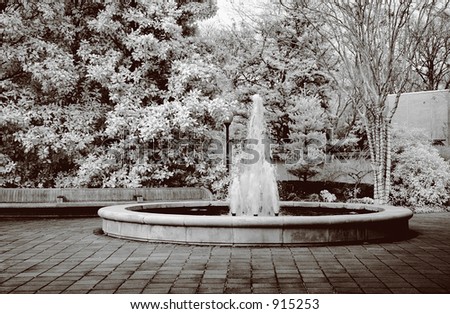True infrared photo of a botanical water fountain. Modified camera with 720nm cutoff filter. Sepia tone.