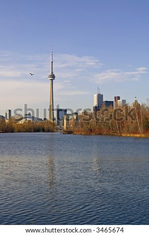A view of the CN Tower and Roger's Centre (formerly Skydome) from Centre Inland.  Skyline view is reflected in the water, and budding trees visible along right shoreline.