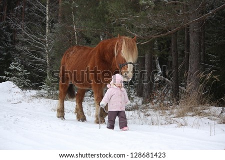 Cute little girl leading big draught horse by the forest in winter