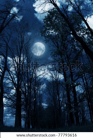 Similar – Foto Bild Vollmond hinter Baumzweigen bei Nacht