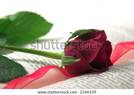 romance photo with a red rose and a book