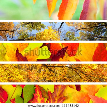 Set of 5 Different Autumn\'s Banners / Nature Backgrounds
