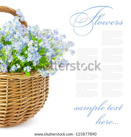 Bouquet of blue spring flowers in basket isolated on white background / Gift with love