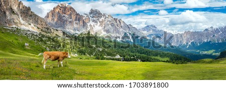 Similar – Image, Stock Photo Scenic view of grazing animals on pasture in summer