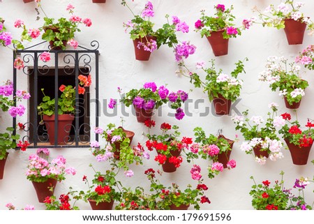 Beautiful Window and Wall Decorated Colorful Flowers - Old European Town, Cordoba, Spain