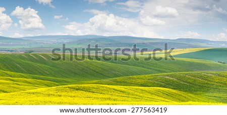 Panoramic background of colorful yellow-green hills with blue sky and clouds - big size