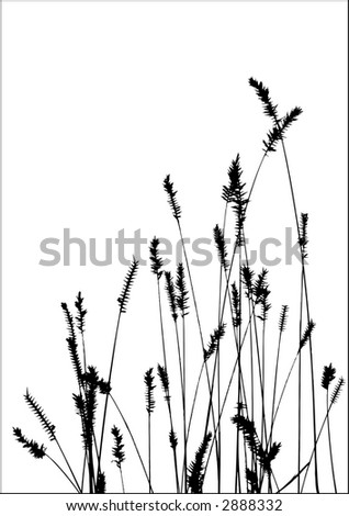 Grass Vector Black Silhouette. Ideally For Your Use - 2888332 ...