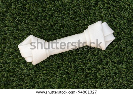 Rawhide bone for a dog isolated on grass background