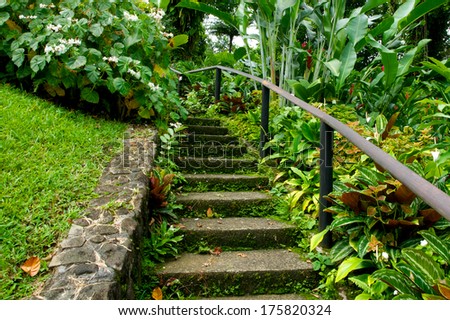 Cement steps lead into the green depths of a botanical garden on the island of Saint Vincent in the Caribbean.