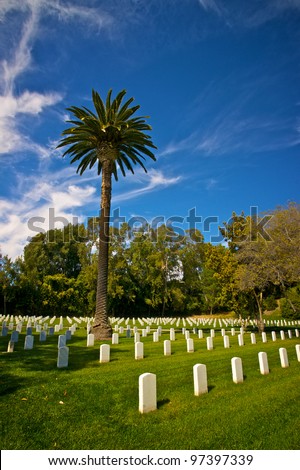 The tombstones of Las Angeles National Cemetery lay under a sun-filled summer sky.