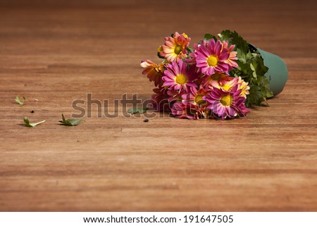 Pot of flowers spilled on a wood floor