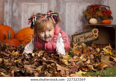 Playing in the leaves.  Adorable toddler playing in a pile of leaves.  With pumpkins and other fall decor in the background.