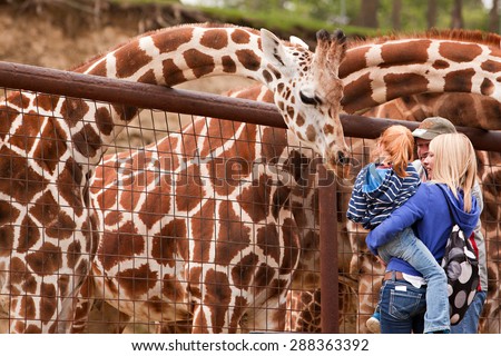 SUGARCREEK, OH - MAY 19, 2015:  A young family feeding giraffes at an exotic animal farm.
