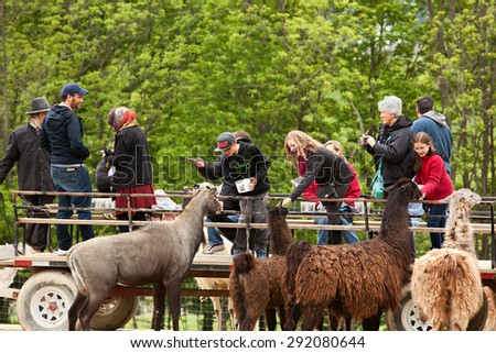 SUGARCREEK, OH - MAY 19, 2015:  A group of tourists, including school children on a field trip, enjoying feeding the animals from a wagon at an exotic animal farm.