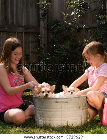Two friends bathing two Pomeranian puppies in an old tin tub.