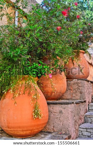 Terracotta vases with flowers colors of the provence France