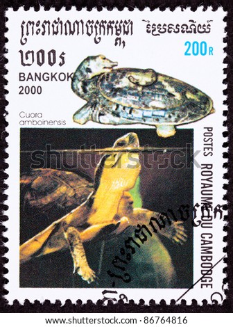 CAMBODIA - CIRCA 2000:  A stamp printed in Cambodia shows an Amboina Box Turtle or Southeast Asian Box Turtle, Cuora amboinensis, swimming.  Turtle shaped carved stone jar, circa 2000.