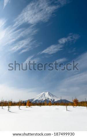 Mount Fuji with Beautiful Sky , after the heavy snow storms in the past 120 years in 19 February 2014