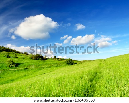 Green field and blue sky with clouds. Bright summer landscape