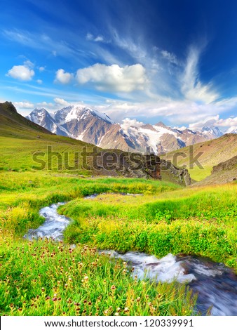River in mountain valley with bright meadow. Natural summer landscape