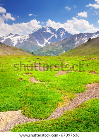 Green meadow in mountain high. Natural composition
