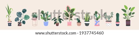 Home plants in flowerpot. Houseplants isolated. Trendy hugge style, urban jungle decor. Hand drawn. Set collection. Green, blue, pink, brown, beige pastel colors. Print, poster, banner. Logo, label.