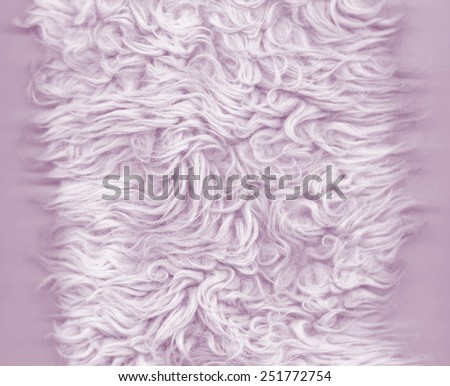 Fur texture. Abstract backgrounds. Pink, purple color carpet