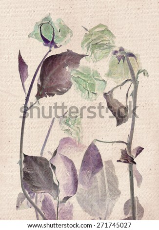 Beautiful roses. Vintage illustration with botanical imprint or x-rays scan. Canvas texture linen fabric background. Vintage concept or conceptual old retro aged fabric. Brown, purple, green. Bohemian