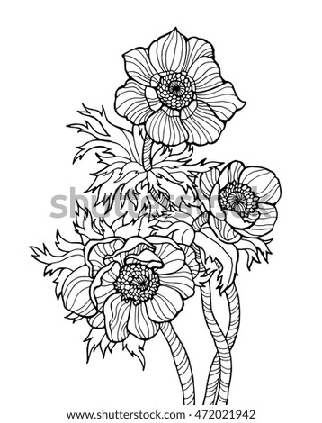 Anemone Flowers Vector Floral Illustration Monochrome Dark Grey Blue Beige Color