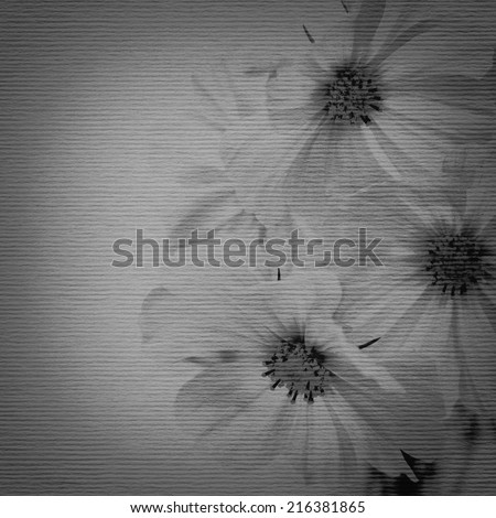 Grunge flower black and white paper background