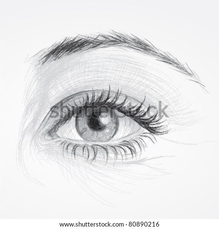 EYE / Realistic sketch of beautiful woman eye