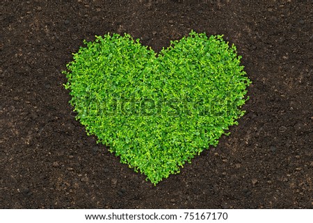 grass and green plants growing a heart shape on soil manure in the birds eye view