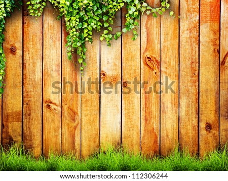 Fresh spring green grass and leaf plant over wood fence background