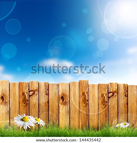Wooden fence and green grass with white camomile flower against blue sky background