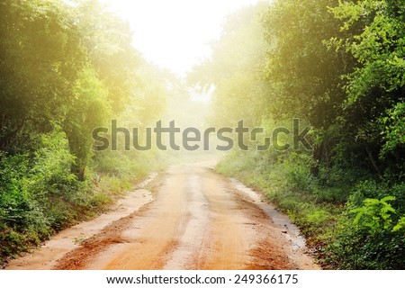 ground road and bush with savanna landscape background