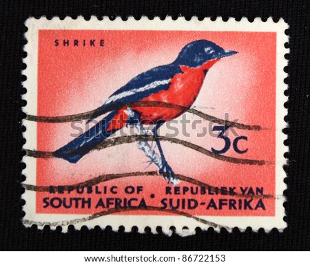 REPUBLIC OF SOUTH AFRICA- CIRCA 1973: A stamp printed in Republic of South Africa shows shrike, circa 1973