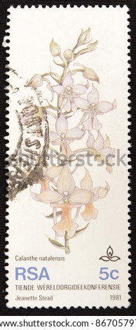 REPUBLIC OF SOUTH AFRICA - CIRCA 1981: A stamp printed in Republic of South Africa shows Plant, circa 1981