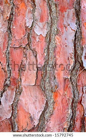 A background of natural red tree bark has rich texture for a rustic affect.
