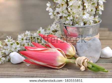 tulips and flowering branch with hearts of stone on wooden background