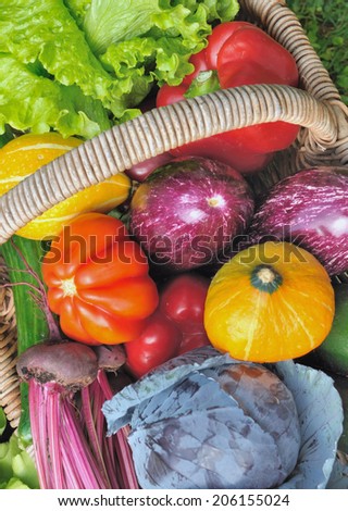 beautiful seasonal vegetables in wicker basket